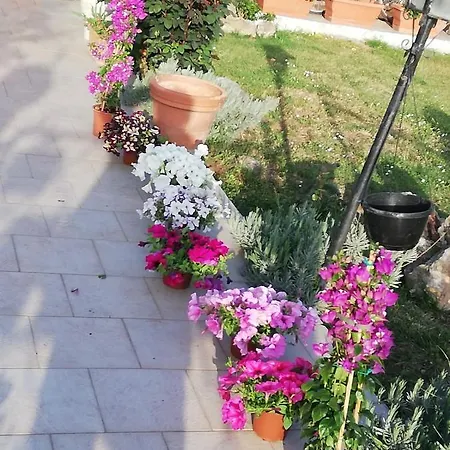 La Casetta Di Samba Hébergement de vacances Anguillara Sabazia
