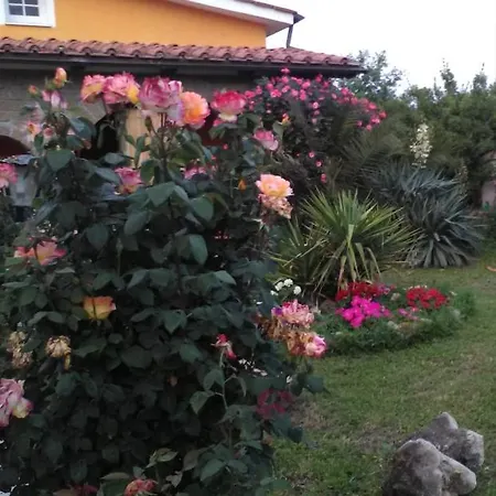 Ferienhaus La Casetta Di Samba