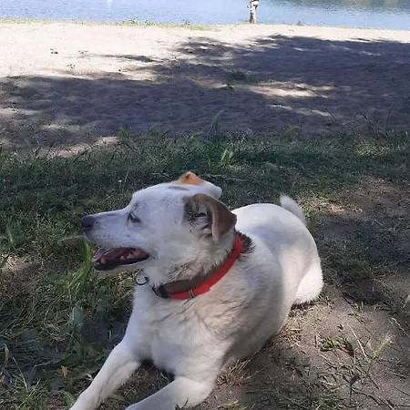 La Casetta Di Samba * Anguillara Sabazia